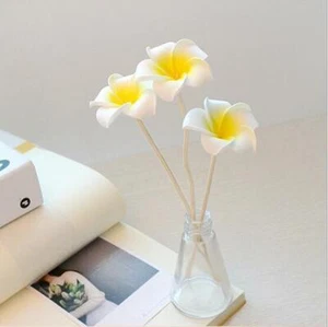 5 palos de repuesto difusor de fragancia de caña de flor ratán ratán hágalo usted mismo decoración del hogar - Imagen 1 de 6