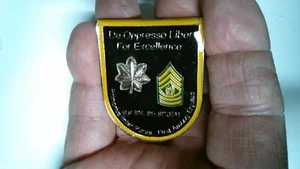 CHALLENGE COIN 1ST BN 5TH SPECIAL FORCES GROUP FLASH SHAPED LTC & CSM BEAUTIFUL - Picture 1 of 6