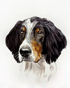Custom Pet Portrait from Your Photo Original Watercolor Painting Dog, Cat - Picture 1 of 7
