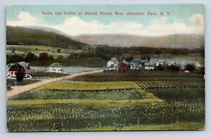 Vintage Postkarte Down the Valley Solvay Farms Montagepark NY C12