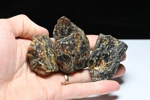 Ambra grezza Sumatran (indonesiana), pezzi grandi, 55,43 grammi, lotto di 3 pezzi - Foto 1 di 5