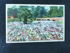 CPA ASTERS - Golden Gate Park PHOSTINT - Imagen 1 de 2