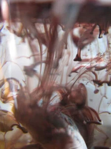 BROWN Pigment Liquid Colour - Picture 1 of 9