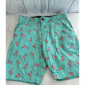PLUGG Men’s 31 Shorts Teal With All Over Pink Flamingos Stretchy 9” Inseam - Picture 1 of 7
