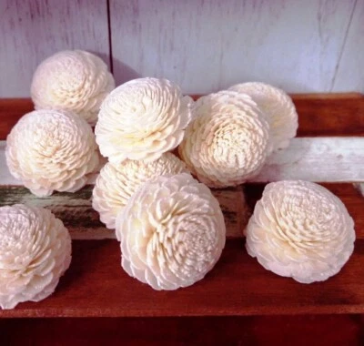 15 Jasmine Sola Wood Diffuser Flowers 5 cm Dia. for Decorate Craft - Image 1 of 3