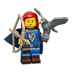 LEGO Minifigures Series 24 (71037) - Falconer - Brand NEW *SEALED* - Picture 1 of 1