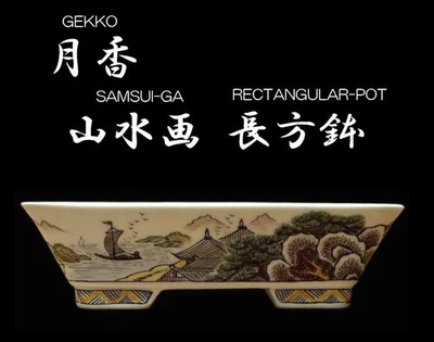 Japanese Bonsai pot SOMETSUKE GOSAI-E Rectangular shape Small size W15.2cm GEKKO - Image 1 of 4