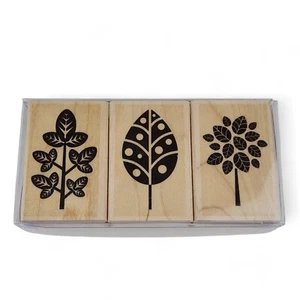 Hero Arts 3 Holzschnitt Gummistempel drei Designer Blätter Baum Blatt Kartenherstellung - Bild 1 von 6