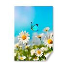 A5 - Chamomile Flowers Blue Butterfly Print 14.8x21cm 280gsm #16971