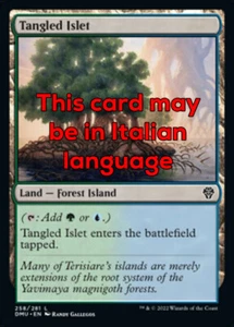 MTG TANGLED ISLET  EXC - ISOLOTTO AGGROVIGLIATO 258 - DMU - MAGIC - Picture 1 of 1