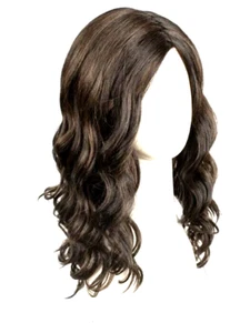 DAY TO DATE Raquel Welch Wig RL4/10SS SHADED ICED JAVA -ExtendLaceFt-MonoPart-HF - Picture 1 of 16