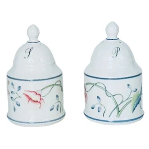 Villeroy & Boch ALBERTINA Salz- & Pfefferstreuer Set bunte Blumenranken NEU - Bild 1 von 5