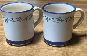 PFALTZGRAFF WYNGATE FLORAL 12 OZ. JUEGO TAZAS (2) NUEVO ESTADO HECHO EN EE. UU. - Imagen 1 de 9