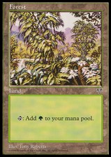 Magic the Gathering MTG Forest (349) Mirage   LP