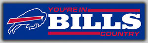 Buffalo Bills Football Team Best Banner 60x240cm 2x8ft You're in BILLS Country