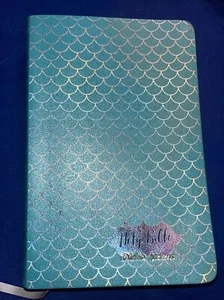 Holy Bible-2017 Aqua  Leather Touch - KJV - Beautiful Bible - Looks Unused - Bild 1 von 4