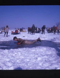 BOY SCOUTS Found SLIDE Photo ICE RESCUE 60´S 35mm Original SELF  36 T 7 O - Imagen 1 de 1