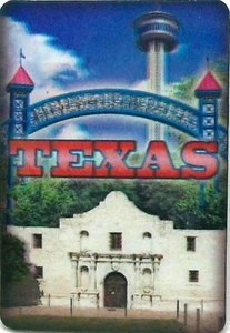 San Antonio Texas 3D Kühlschrankmagnet - Bild 1 von 2
