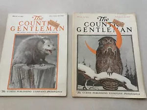THE COUNTRY GENTLEMAN MAGAZINES 1917, Lot 2,Agriculture,Advertising,Vintage - Picture 1 of 18