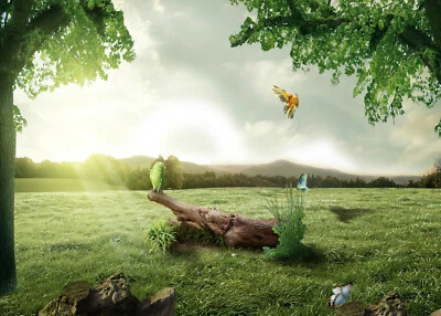 Spring Sunshine Parrots Grassland Trees 7x5ft Vinyl Backdrop Photo Background - Image 1 of 4