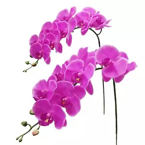 Artificial Orchid Stems Real Touch Latex Phalaenopsis Branches Faux Cymbidium Fl - Picture 1 of 6