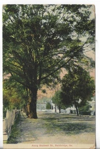 Postal de colección - A lo largo de Shatwell Street - Bainbridge, Georgia 1911 - Imagen 1 de 2