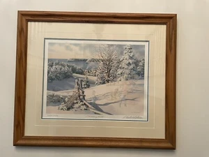 Charles L. Peterson "Sledding Hill" Framed, Numbered (1109/2000), Signed - Picture 1 of 4