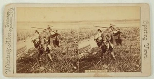 WEBSTER & ALBEE SPORTANSICHTEN 4 JAGDSTEREOVIEWS 1800er - Bild 1 von 4