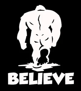Bigfoot Sasquatch Yeti Sticker Decal Conspiracy Car Truck Believe Sasquatchin - Picture 1 of 1