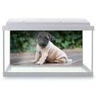 Fish Tank Background 90x45cm - Cute Adorable Pug Dog Puppy  #16751