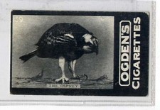 (Jb053-100) Ogden's Tab , General Interest, D Series, 139, 1902#