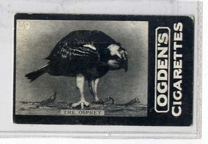 (Jb053-100) Ogden's Tab , General Interest, D Series, 139, 1902#