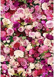 Pink Rose Flower Floral Wallpaper A4 Sized Edible Wafer Paper / Icing Sheet - Picture 1 of 1