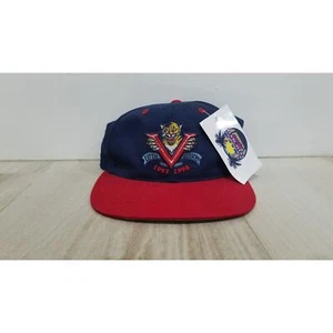 Vintage NHL Florida Panthers snap back hockey 90s 1998 - Picture 1 of 3