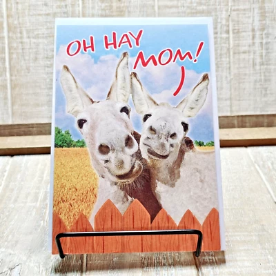Recycled Paper Greetings Mother's Day Card Mom Donkeys Real Kick Humor - Image 1 of 4