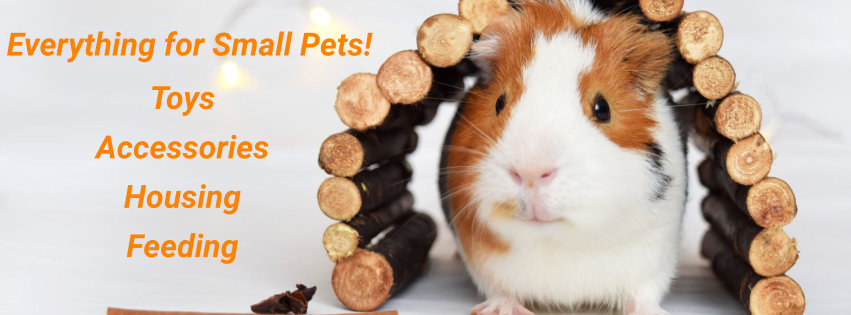 guinea pig food coles