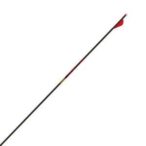 Gold Tip Velocity Hunter Dozen Fletched Arrows - Picture 1 of 2