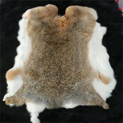 1 pieza Piel de conejo natural Piel de animal Piel Cuero Decoración Hágalo usted mismo Artesanía Grado Bronceado Foto 1 de 4