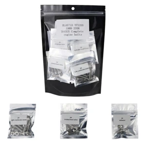 Kit de pernos de motor de acero inoxidable apto para Yamaha Blaster YFS200 1988-2006 2003 plateado - Imagen 1 de 5