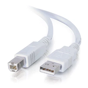 CablesToGo 13172 2m USB Cable - Type A Male - Type B Male - 6ft - White - Picture 1 of 2