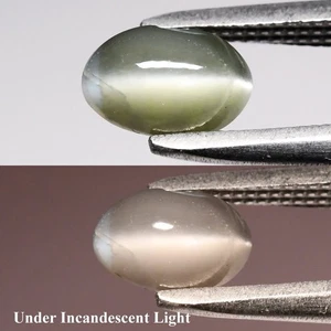 💎 1.07ct Oval Cabochon Natural Green Cat's Eye Alexandrite - Russia Gemstone - Picture 1 of 6