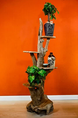 Scale per Fiori Teak Radica Legno Massello Legno Scala per Piante Porta Fiori - Immagine 1 di 4