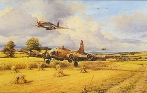 Mustangs Robert Taylor Fuera de combustible y seguro para el hogar B-17 Fortress P-51 - USAAF - Imagen 1 de 1