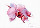 Orchidée rose, blanc, illustration, aquarelle, peinture originale, art mural floral