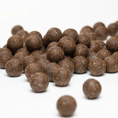 Futterboilies Octopus Fisch 5 kg Boilies Anfüttern Karpfen (3,86 EUR/kg) - Bild 1 von 2