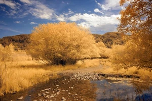 Fullspectrum converted Nikon Z fc camera body Fine Art Astrophotography - Picture 1 of 8