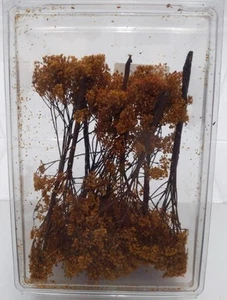 Grand Central Gems T-20 Medium Fall Oak Trees (Box of 10) - Picture 1 of 1