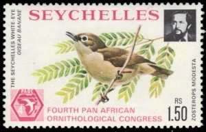 SEYCHELLEN 359 - Seychelles White-eye "Zosterops modestus" (pb57102) - Bild 1 von 1