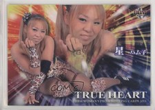 2013 BBM True Heart Hamuko Hoshi #075