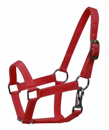 PONY SIZE Horse Heavy Nylon Halter Choice of: Green  - Purple - Red Color - Image 1 of 1
